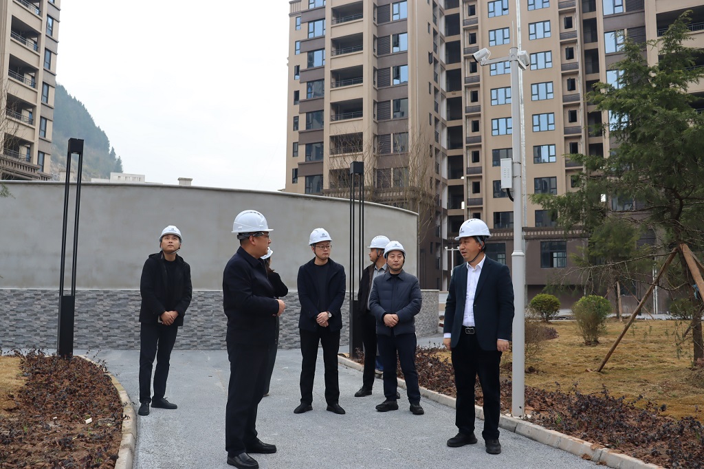 张铸率队督导检查重点项目复工复产工作